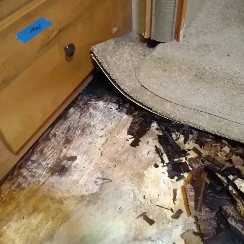 Wood Floor Water Damage in Caroline County, VA